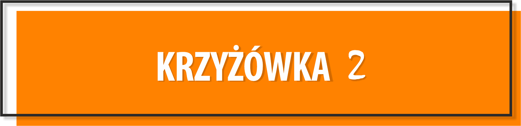 krzyżówka 2