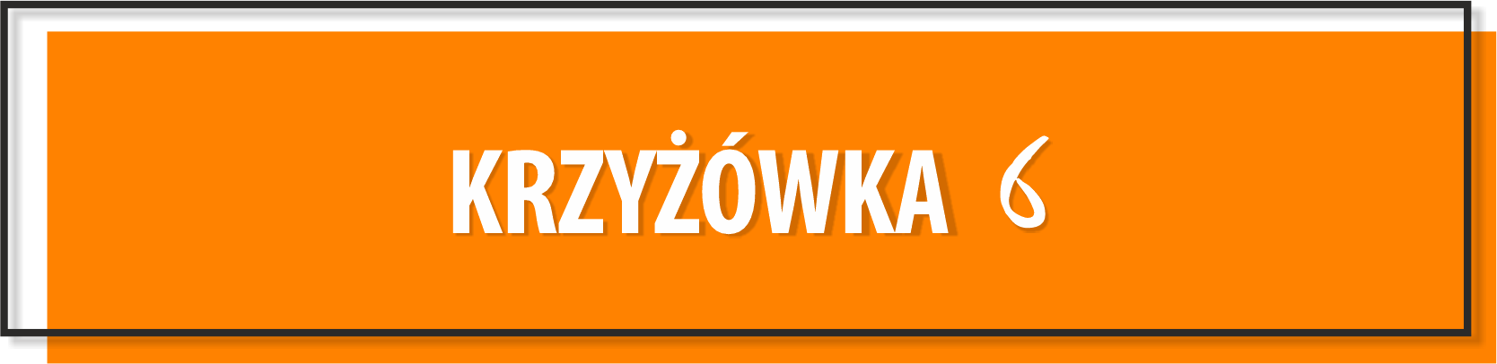krzyżówka 6